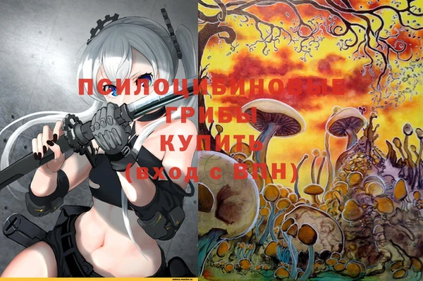прущая мука Киреевск