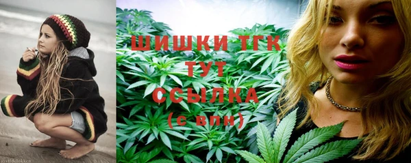 мяу мяу мука Кинешма