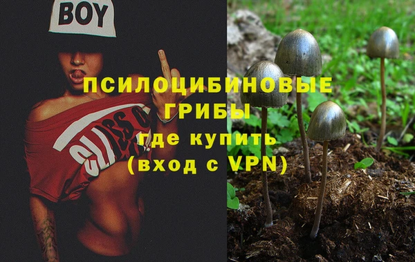 мяу мяу мука Кинешма