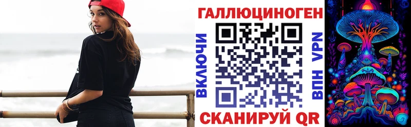 Галлюциногенные грибы Psilocybe Новороссийск