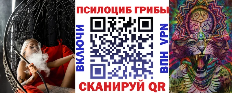 Галлюциногенные грибы мицелий купить наркоту Новороссийск