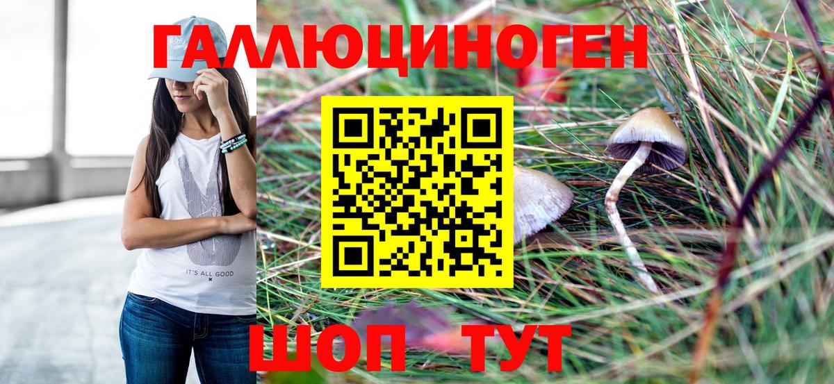 Псилоцибиновые грибы GOLDEN TEACHER  Вход с VPN  как найти закладки  Новороссийск 
