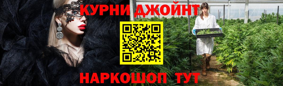 Бошки Шишки гибрид Новороссийск